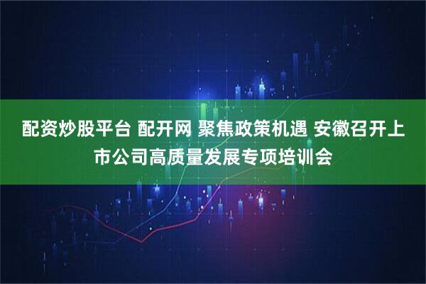 配资炒股平台 配开网 聚焦政策机遇 安徽召开上市公司高质量发展专项培训会