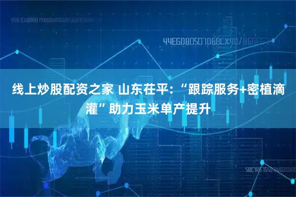 线上炒股配资之家 山东茌平: “跟踪服务+密植滴灌”助力玉米单产提升