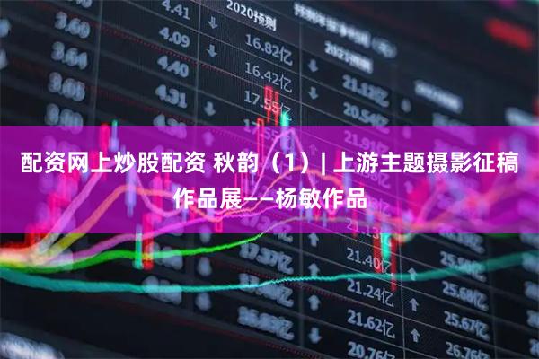 配资网上炒股配资 秋韵（1）| 上游主题摄影征稿作品展——杨敏作品